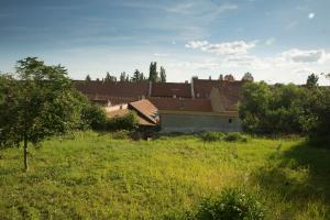 Vonkajšia záhrada v ubytovaní Plitzner Belvárosi Apartmanház