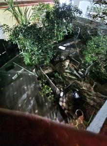 a tank of water with plants in it at 3 Bedroom Apartment - Shri Amarnath Yatra baseCamp in Jammu