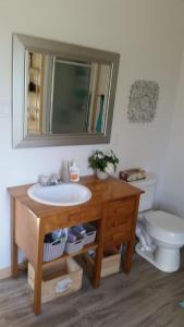 une salle de bain avec un lavabo et un miroir et des toilettes dans l'établissement Chalet au lac Saint-Jean, à Dolbeau-Mistassini