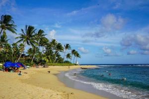 a beach with palm trees and people in the water at Poipu Beach Bungalow in Koloa