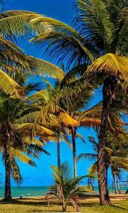 Příroda nedaleko hotelu