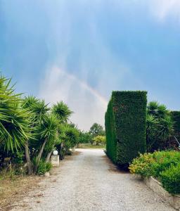 a rainbow in the sky over a road with bushes at Il Podere in Trani