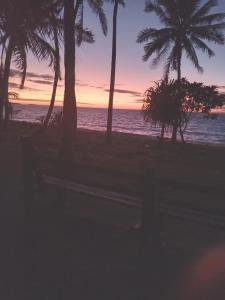 a bench on a beach with palm trees and the ocean at Nenas Homestay  +8 photos