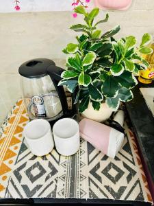 Παροχές για τσάι/καφέ στο Homestay Tiểu Nhị