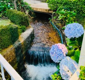 a small pond with a stream of water and flowers at Eden Grand Bungalow Nuwaraeliya in Nuwara Eliya