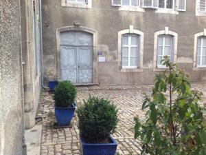 three potted plants in front of a building with a door at Charmant appartement historique à Vesoul, avec WIFI et parking - FR-1-583-508 in Vesoul