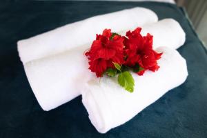 Un ramo de flores rojas en una servilleta blanca en Fare Miri Miri, en Haapiti