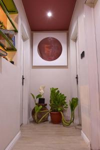 a hallway with plants and a picture on the wall at Palette Room, Design House in Lekki