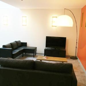 a living room with a couch and a flat screen tv at Appartements Rue Lemoine XXL in Angers