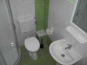 Koupelna v ubytování Cabana Sestina + 23 fotografií