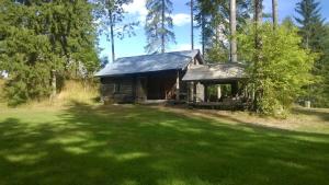 Ristiina的住宿－Löydön Kartano Camping，绿草丛中的旧小屋