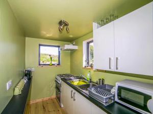 a green kitchen with a sink and a microwave at Bothy 1 - Uk50471 in Greenhaugh