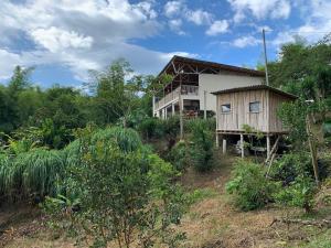 une maison arborée sur le flanc d'une colline dans l'établissement Eco Finca El Guadual - casa completa, à Manizales
