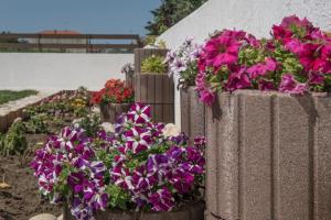 Fotografie z fotogalerie ubytování Corali luxury villas v destinaci Ierissós