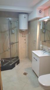 a bathroom with a shower and a toilet and a sink at Apartment Veselin in Budva