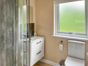 a bathroom with a shower and a toilet and a window at Alderneuk Lodge - Uk49923 in Dumfries