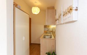 Kuchyňa alebo kuchynka v ubytovaní Apartments Ena&Toni