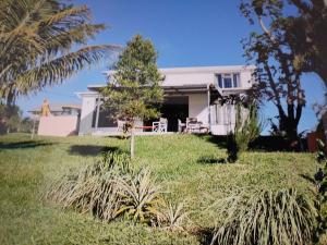 a white house with a palm tree in the yard at Mouck's Paradise in Tambe