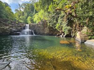 a pond with a waterfall in front of a forest at Baan Nara Homestay - Koh Kood in Ko Kood +30 photos