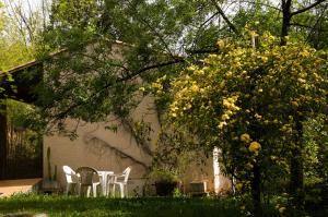 een groep stoelen en een boom met gele bloemen bij Mas De Font Chaude in Clermont-lʼHérault