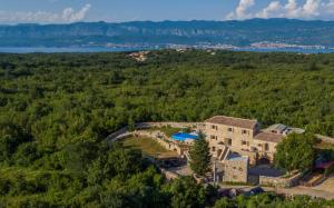 an aerial view of a house in the woods at Villa Aria in Gostinjac