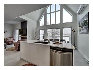 St-FerdinandにあるLakefront Spa - Chez Bernard L'Hermiteのシンクとカウンタートップのあるキッチン