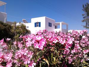 un campo de flores rosas frente a una casa blanca en Nicos Studios & Apartments, en Logaras