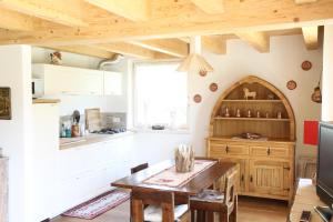 A kitchen or kitchenette at Dolomiti di Brenta House 2