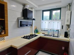 Una pequeña cocina con fregadero y estufa. en Eastview Garden Elegant Place, en Nanjing 13 fotos más