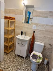 a bathroom with a toilet and a sink at Ubytování za babku s infrasaunou in Jeseník