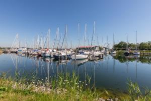 a group of boats docked in a harbor at Vakantiewoning bij het Veerse Meer in Wolphaartsdijk