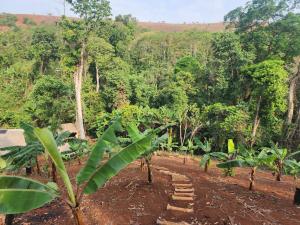 ein Feld mit einer Reihe von Bananenstauden in der Unterkunft Twelve107 Farmstay in Krong Saen Monourom + 29 Fotos