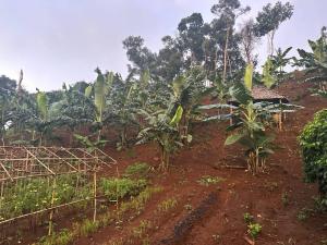 Taman di luar Twelve107 Farmstay