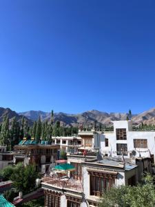 a group of buildings with mountains in the background at De katong in Leh
