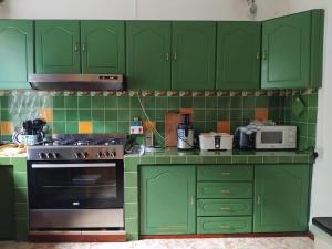 a green kitchen with a stove and green cabinets at Apt in La Gaulette in La Gaulette