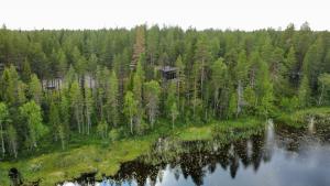 an aerial view of a forest and a lake at Villa Kutula in Hossa