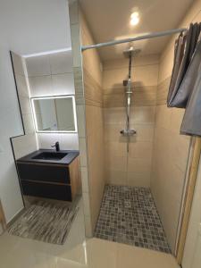 ein Badezimmer mit Waschbecken und Dusche in der Unterkunft à 10 minutes Futuroscope in Vendeuvre-du-Poitou