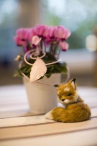 Imagen de la galería de Ferienwohnung Naturpur, en Rheinau