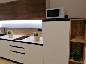 a kitchen with a microwave on top of a counter at Bilocale Yugogo Garden Park Le Albere in Trento