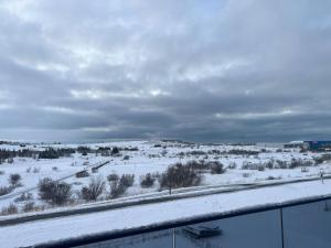 a view of a snowy field with snow on the ground at Nordic Retreat by the Water Hot Tubs Northern Lights in Garðakauptún