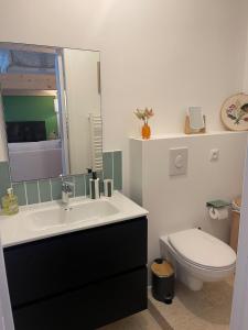 un baño con lavabo e inodoro en Le nid d'Ambre, en Étaples