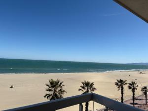 a view of a beach with palm trees and the ocean at Vue sublime mer in Canet-en-Roussillon