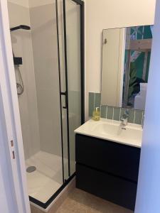 a bathroom with a glass shower and a sink at Le nid d'Ambre in Étaples +4 photos