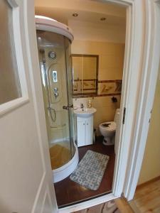 Un baño con ducha, lavabo e inodoro. en Kawalerka Sikorskiego, en Kraśnik