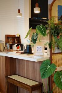 a kitchen with a counter with plants and a table at 春喃日光 Whispring Inn in Hengchun +28 photos