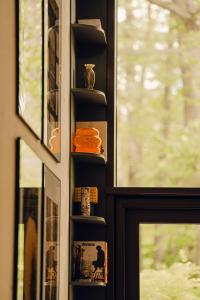 ein Zimmer mit einem Fenster mit Regalen voller Bücher in der Unterkunft Green View Tornow in Tornow