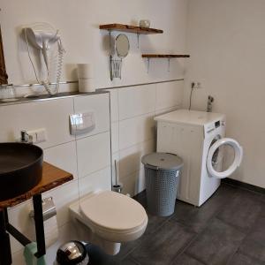 a small bathroom with a toilet and a sink at Haus am Römerstich in Auen +8 photos