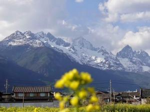 a snow covered mountain in the background of a city at 37 Courtyard（Baisha Ancient Town） in Baisha