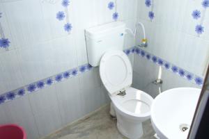 a bathroom with a toilet and a sink at Hotel Krishna in Jaipur