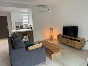 TV a/nebo společenská místnost v ubytování TropiClub Charm appartement avec piscine